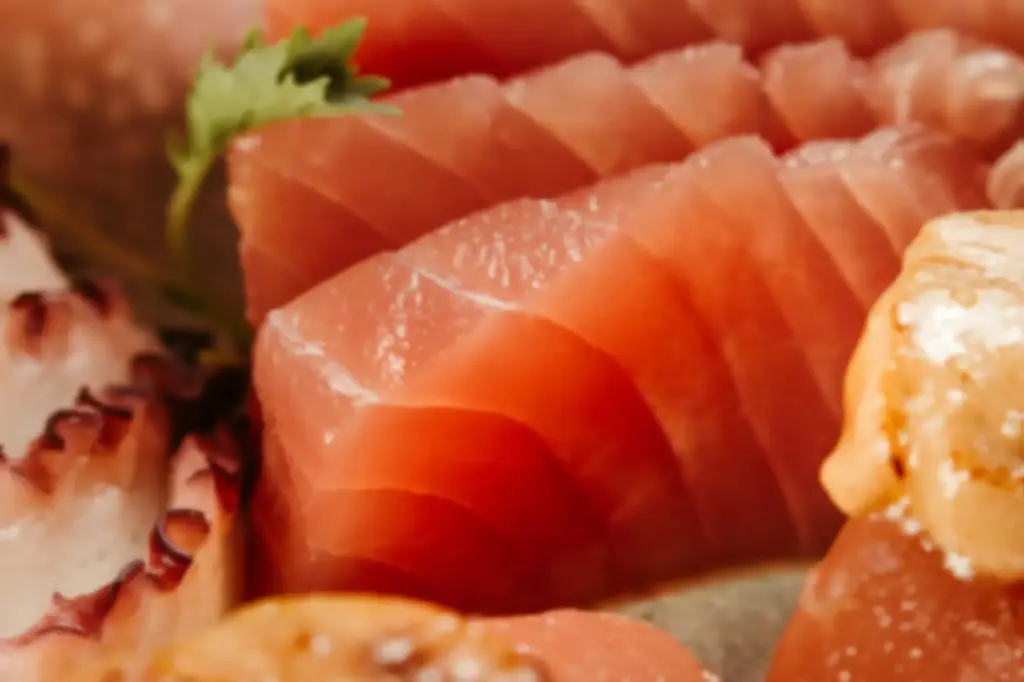 Sashimi Premium Tonijn